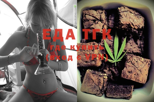 индика Инта