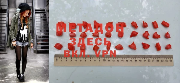 индика Инта