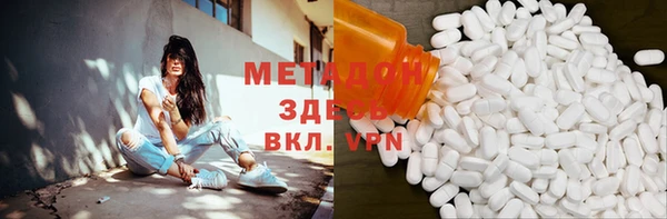 индика Инта