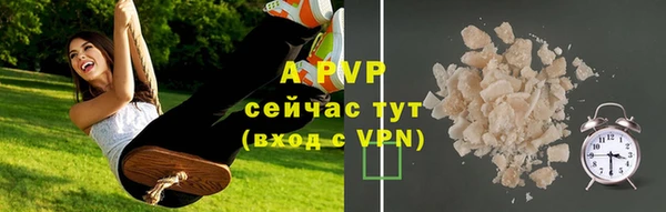 прущие крисы Инсар