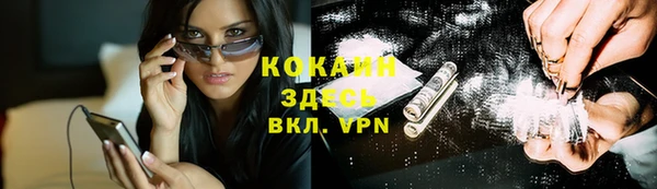 индика Инта