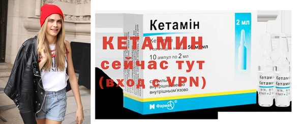 индика Инта