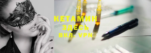 индика Инта