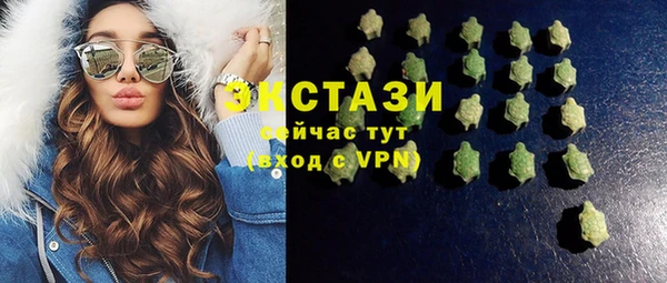 индика Инта