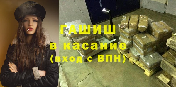 индика Инта
