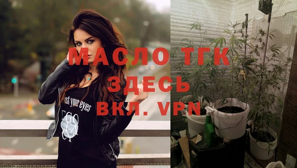индика Инта