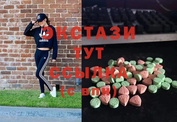 индика Инта