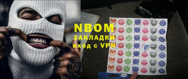 индика Инта