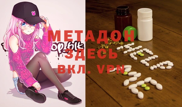 индика Инта