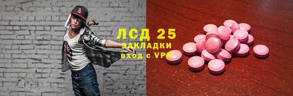 индика Инта