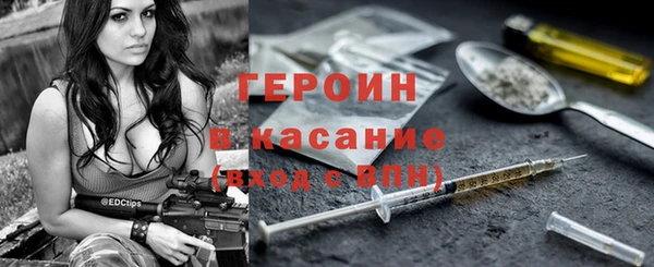 индика Инта