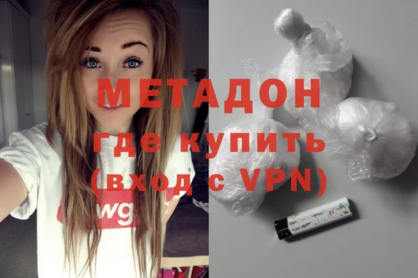индика Инта