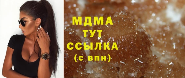 индика Инта