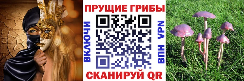 Галлюциногенные грибы мухоморы  Купить  Беслан 